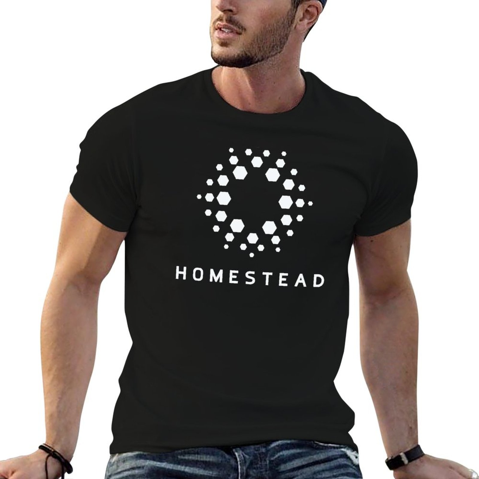 Homestead Lighting & Decor Oconomowoc - Homestead - Passengers - Licht T-shirt