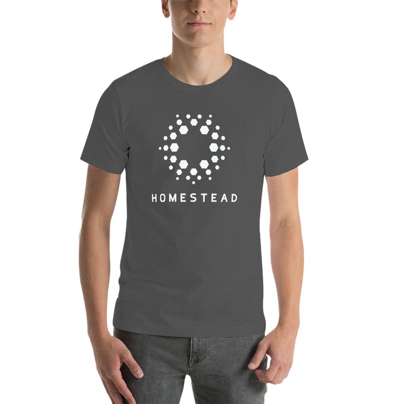 Homestead - Passengers - Licht - Homestead Lighting & Decor Oconomowoc recensie en prijs