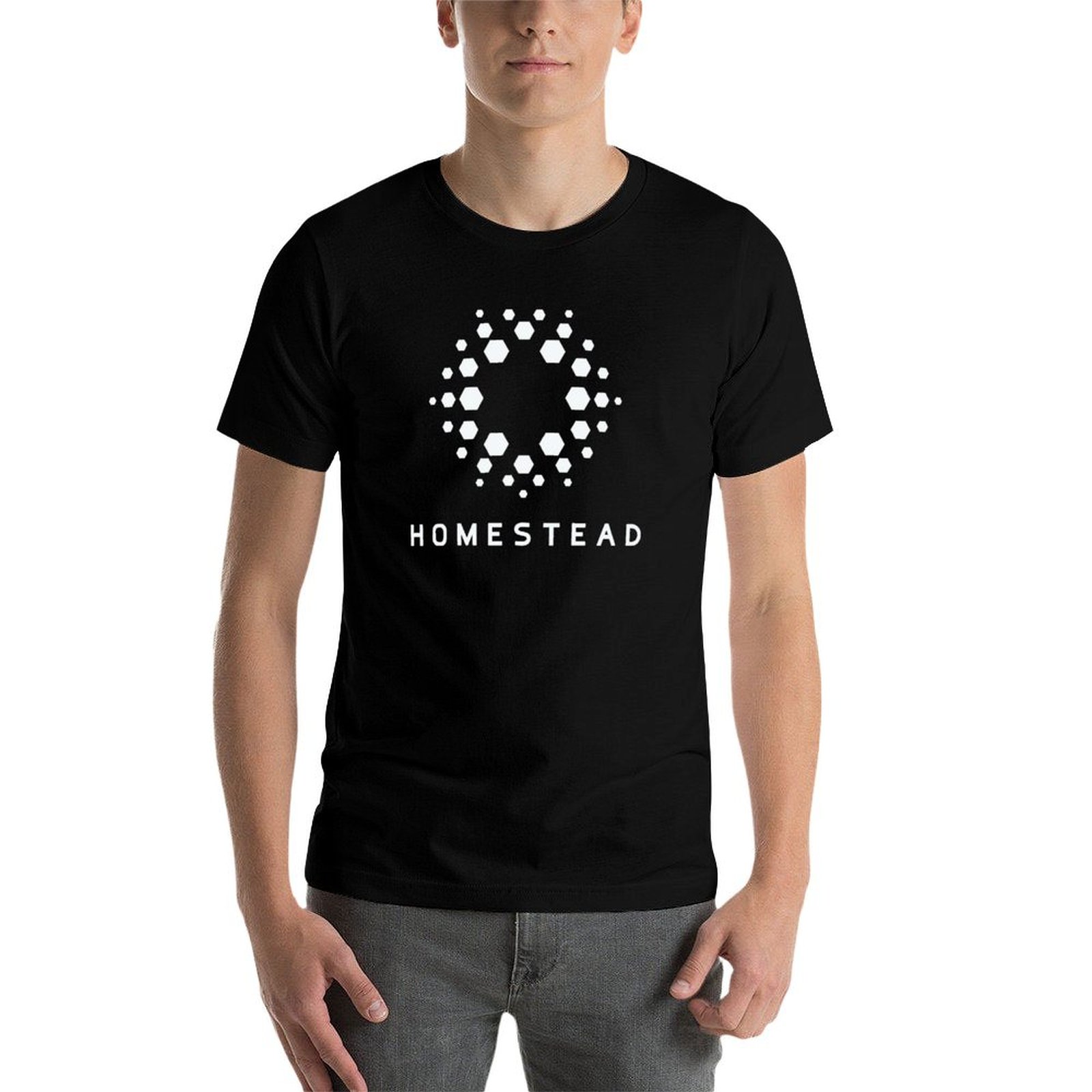 Homestead - Passengers - Licht - Homestead Lighting & Decor Oconomowoc recensie en prijs